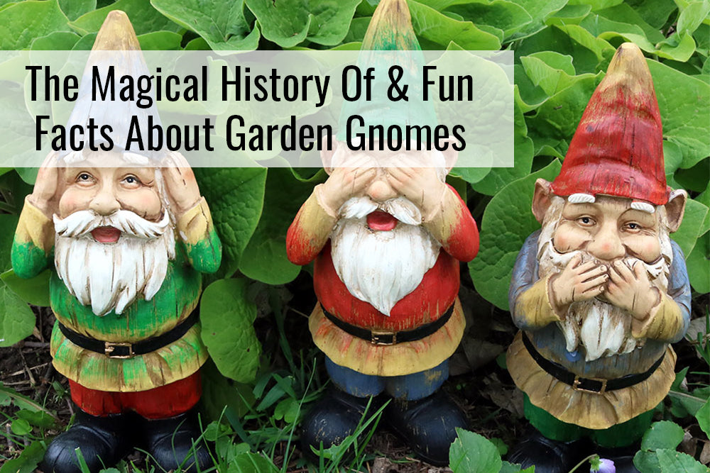 The Magical History Of & Fun Facts About Garden Gnomes