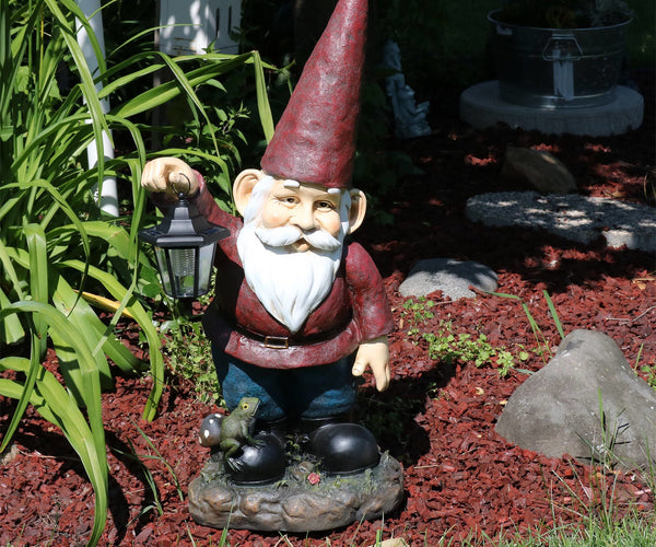 http://serenityhealth.com/cdn/shop/collections/Gnomes.jpg?crop=center&height=500&v=1642094778&width=600