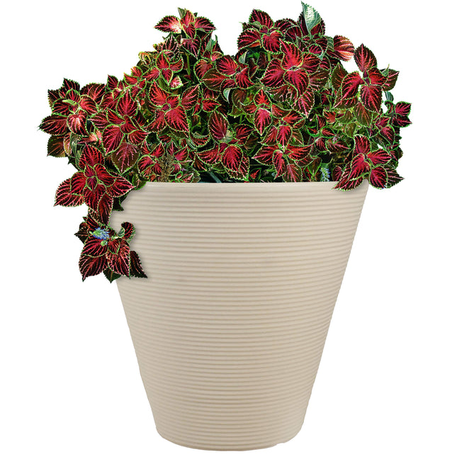 Sunnydaze Walter Ribbed Cone Indoor/Outdoor Planter Pot, Antique White Finish, 16-Inch Diameter