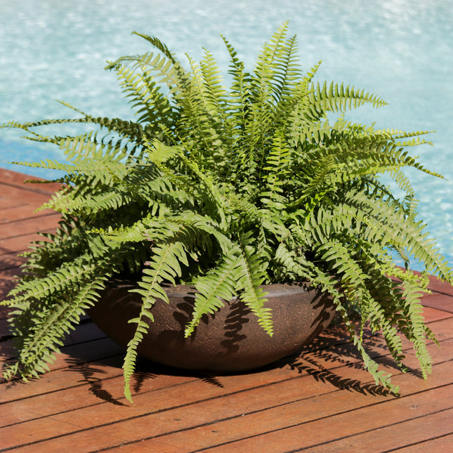 Sunnydaze Percival Indoor/Outdoor Planter Pot, Sable Finish, 21-Inch Diameter