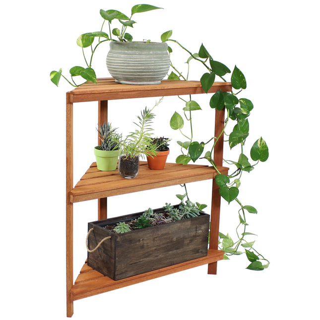 Sunnydaze Meranti Wood 3-Tier Indoor/Outdoor Corner Plant Stand with Teak Oil Finish, 36-Inch