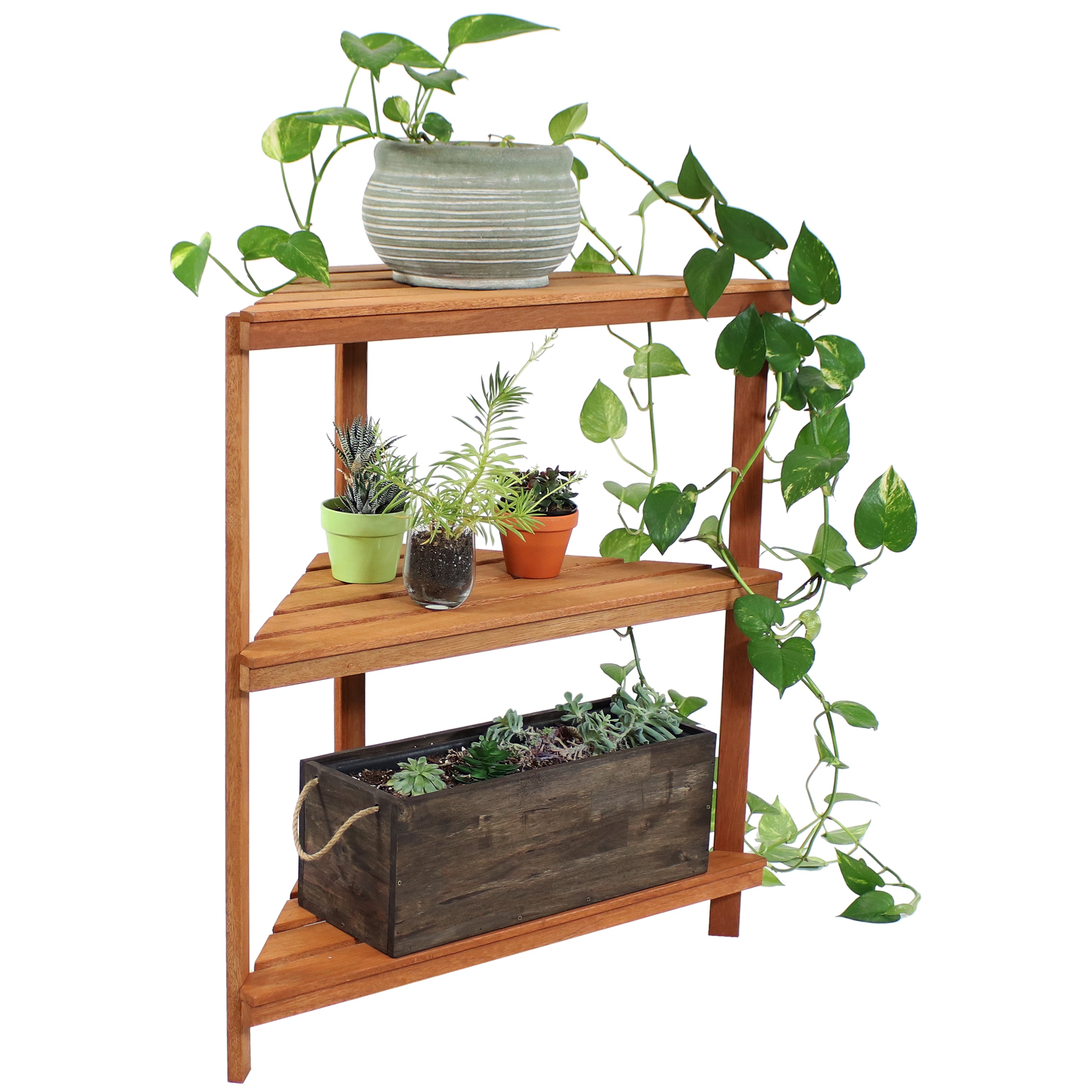 36 plant stand indoor Sunnydaze Meranti Wood 3-Tier Indoor/Outdoor Corner Plant Stand with Teak Oil Finish, 36-Inch – Serenity Health & Home Decor